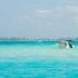 Best Dog-Friendly Vacations in the US for Families