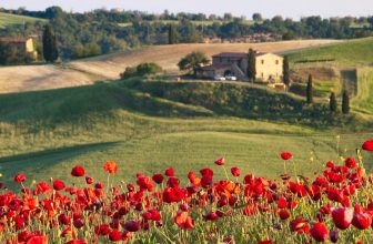 Can’t Miss Tuscany Attractions to See with the Kids