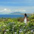 Insider Guide: San Francisco