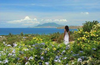 Caribbean’s Hidden Islands to Take the Kids