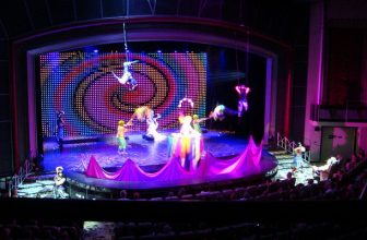 Cruising for a Bruising