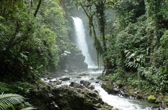 Delightful Day Tours for Families from San Jose, Costa Rica