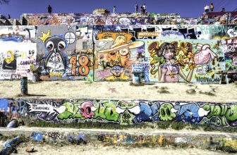 Exploring the Cool Side of Austin with Kids