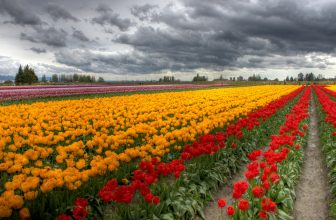 Fairy Tale Places in the US to Visit with the Kids