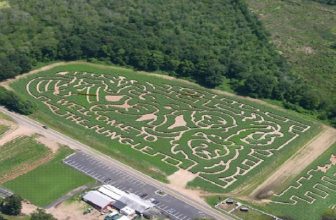 Fall’s Most Amazing Corn Mazes