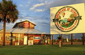 Family Day Picking Oranges in Orlando