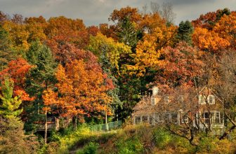 Family-Friendly College Towns to Visit This Fall
