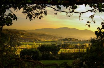 From the Experts: Making Your Dream Italian Vacation Happen