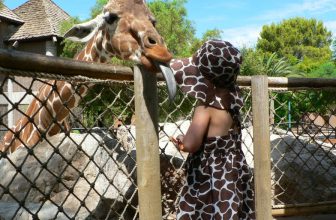 Fun Things to Do in Tucson for the Whole Family