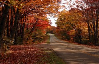 Go Now: 5 Spectacular Fall Drives