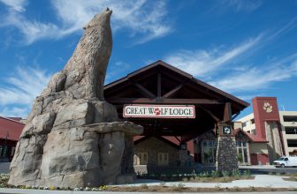 Hotel Review: Great Wolf Lodge SoCal
