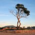 Camping by the Sea: Best Beach Campgrounds for Families