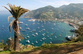 Insider Guide: Catalina Island