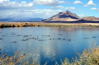 Insider Guide: Henderson, Nevada