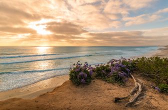 Insider Guide: San Diego