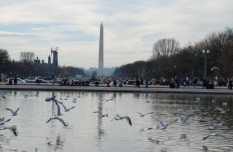 Insider Guide: Washington DC