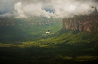 Insider’s Guide to Venezuela