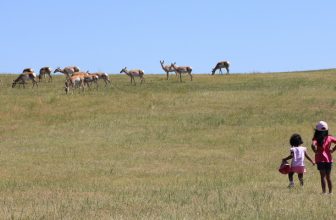 Into the Great Wide Open