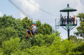 Is a Zipline the Right Adventure for Your Family?