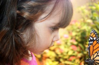 It’s a Bug’s Life: 5 Incredible Insectariums