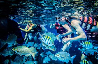 Kid-Friendly Attractions in Varadero To Tempt You Off the Resort