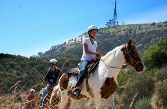 LA’s Horseback Riding Trails to Take the Kids On