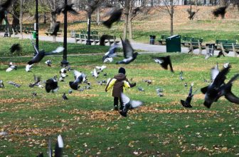 Land of the Free: 5 Fab Freebies in Boston