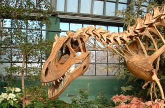 Land of the Free: 5 Fab Freebies in Chicago