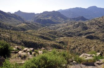 Land of the Free: 5 Fab Freebies in Tucscon