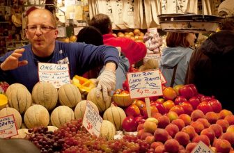 Land of the Free: 5 Free Things to do in Seattle with Kids