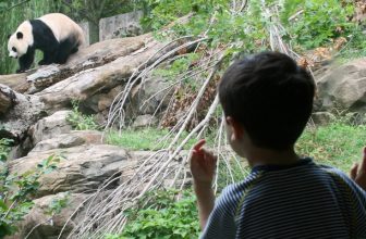 Land of the Free: 5 Fab Freebies in Washington DC