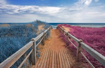 Let These Children’s Books Inspire Your Next Family Vacation