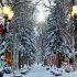 Celebrate the Holidays at the Great Wolf Lodge SoCal