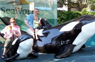 Orlando’s International Drive