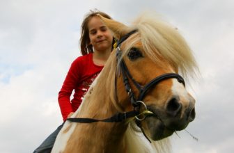 Pinegrove Ranch & Family Resort