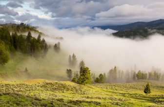 Seasonal Guide to Jackson Hole & Yellowstone With Kids