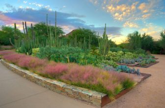 Spend a Day Outdoors in Phoenix and Scottsdale