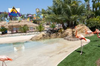 Splashy Debuts: What’s New in Water Parks 2013