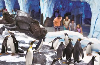 Summer’s 7 Best New Theme Park Attractions