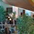Hotel Review: Park Shore Waikiki