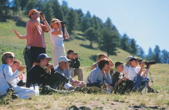 Tips for Planning a Family Vacation with a Tour Company