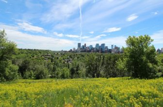 Top 5 Family-Friendly Activities in Calgary