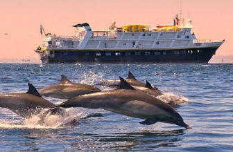 Top Family Cruise Vacations to Baja