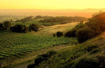 Top Family-Friendly Things to Do in Santa Rosa, CA