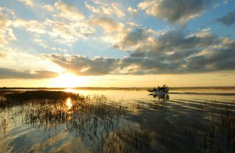 Unusual Family-Friendly Attractions in Kissimmee, Florida