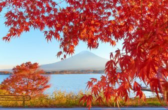 Visiting Japan with the Kids