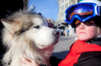 Whistler-Blackcomb Mountains