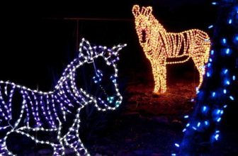 Zoos Light Up the Holiday Season