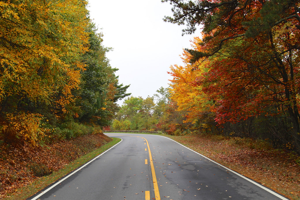 Skyline Drive in Shenandoah National Park is one of the best drives to take this fall.