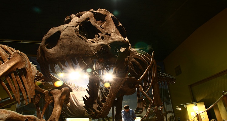 best dinosaur attractions